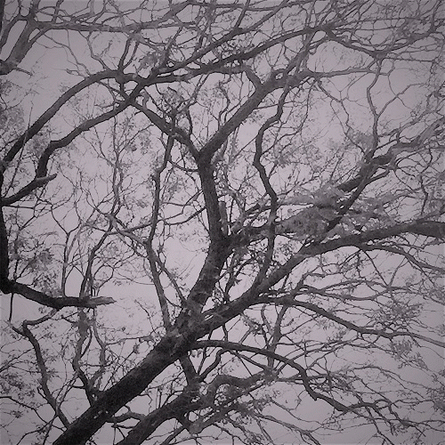 Gorestine : The Tether